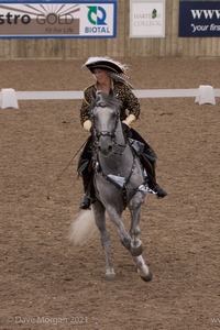 Lusitano Breed Society of Great Britain Show - Hartpury College - 27th June 2009